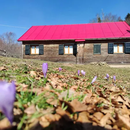 营地 Orme Nel Parco - Villaggio Grechi