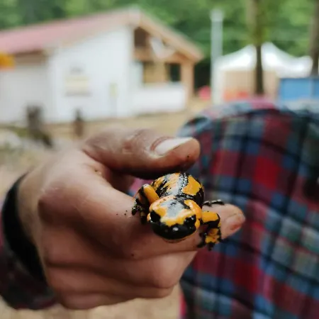 Orme Nel Parco - Villaggio Grechi 营地 Tirivolo