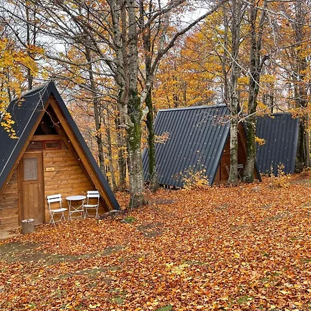 Orme Nel Parco - Villaggio Grechi *