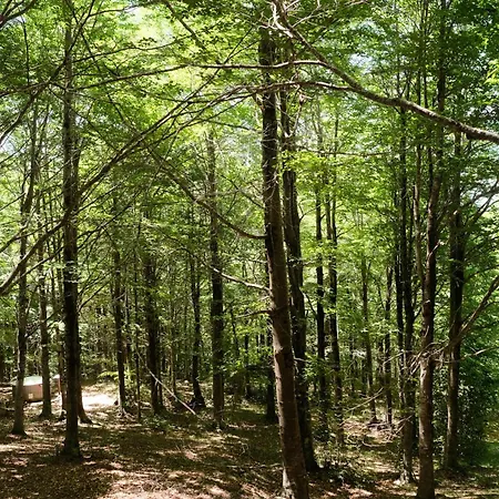 Orme Nel Parco - Villaggio Grechi *