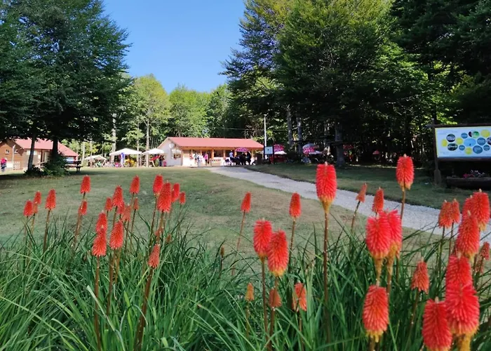 Parque de Campismo Orme Nel Parco - Villaggio Grechi Tirivolo
