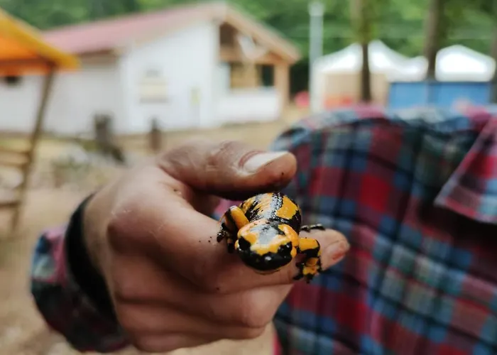 Orme Nel Parco - Villaggio Grechi Parque de Campismo Tirivolo